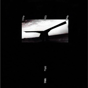 最粗最猛最色最爽的视频
